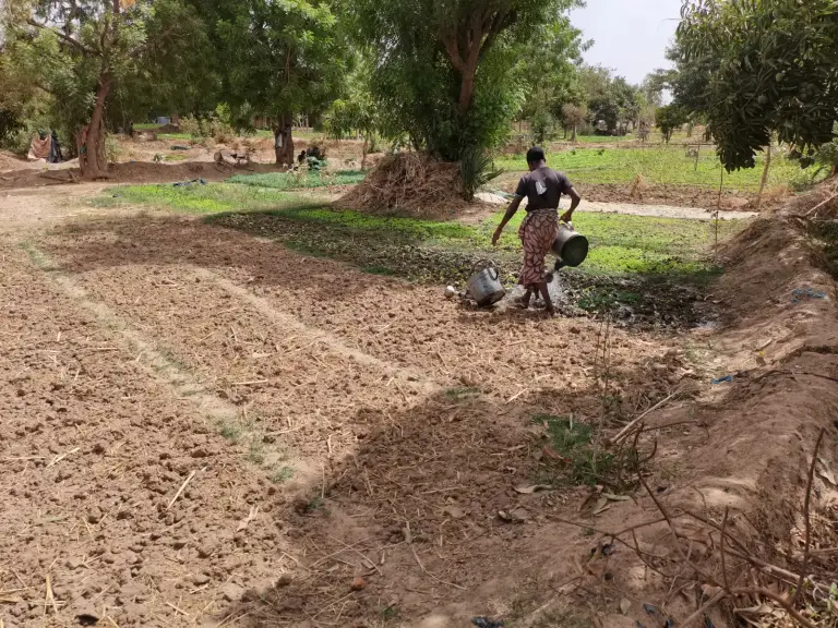 Le Burkina Faso engage 254,8 milliards de FCFA pour étendre ses terres irriguées