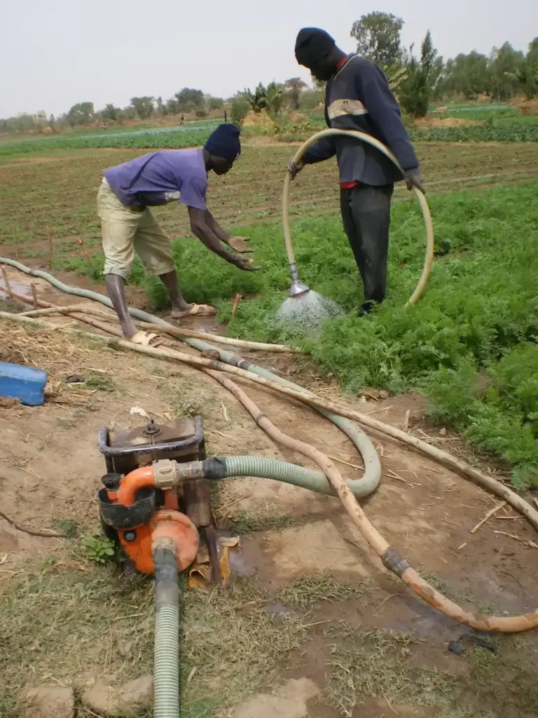 Au Burkina Faso, un engrais local vise un sac de moins par hectare