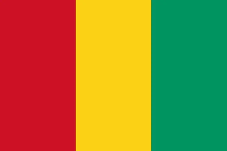 En Guinée, la grâce de détenus passe par un stage civique de 45 jours