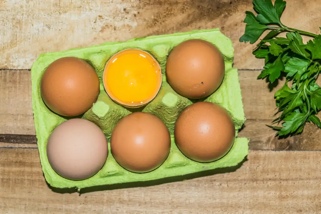 Œufs de poule rangés dans une boîte en carton, image d’illustration