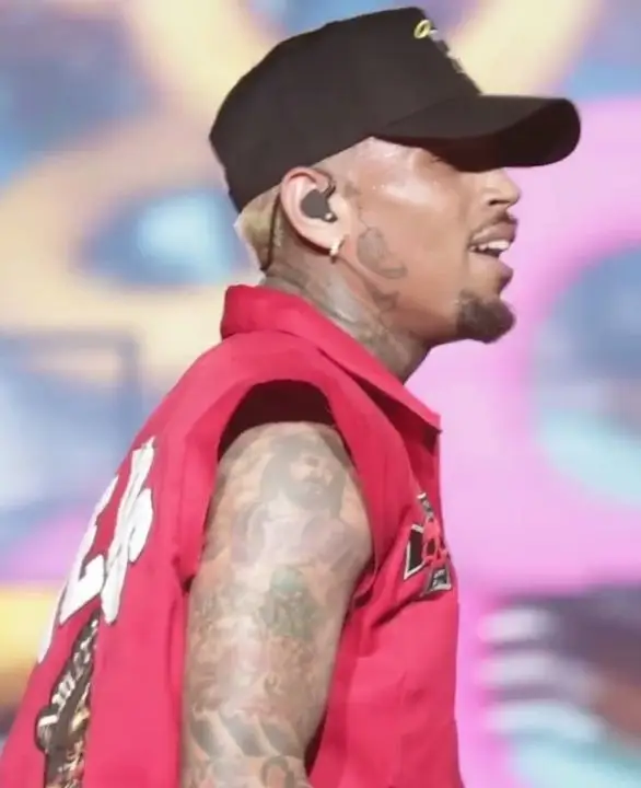 Chris Brown en concert à Kingston, photographie d’archives