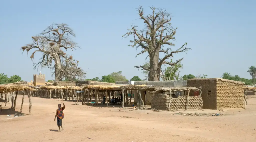 Scène de marché dans le cercle de Koutiala au Mali en 2014