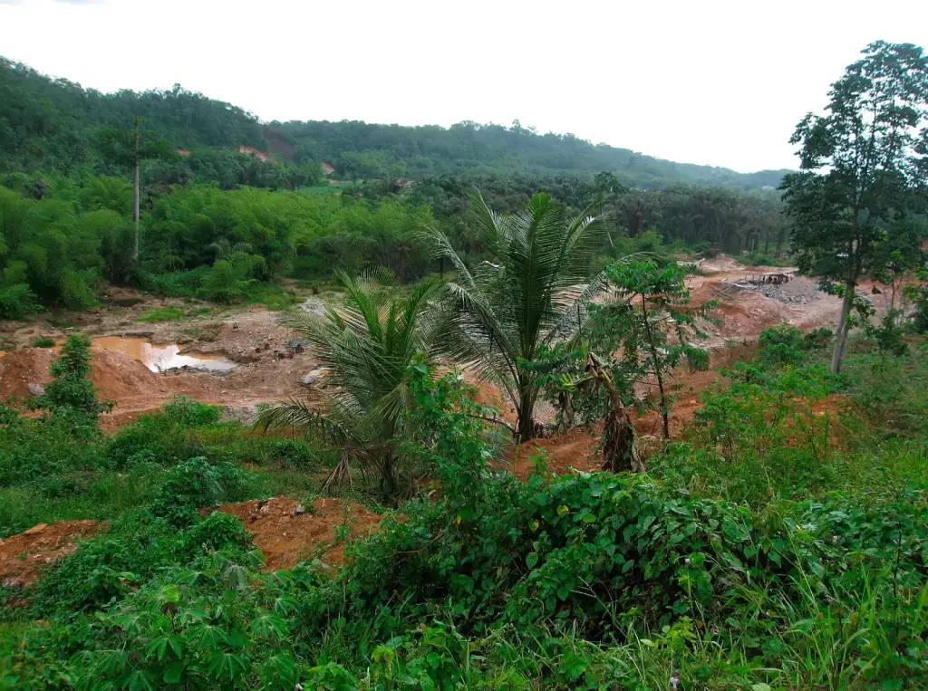 Terrain dégradé par l’orpaillage à Tarkwa au Ghana