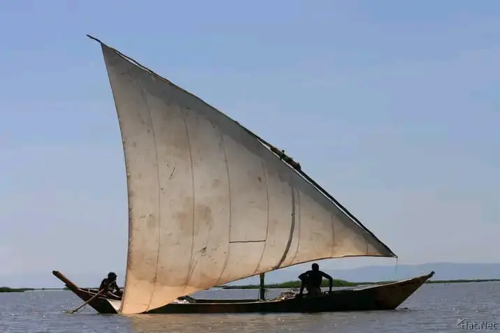 Les exportations de poisson rapportent 181,6 millions de dollars à la Tanzanie